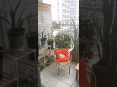 Edelstahl Güteklasse 316 mit Clip-Kreuzungssicherung für unsichtbare Balkongeländer