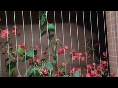 Edelstahl des Balkon-unsichtbarer Grill-Kinderschutz-316