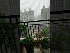 Zuhause Unsichtbare feste Sicherheitsgrills Rostfeder für Kinder und Haustiere