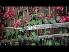 Modern Society Design Balkon Unsichtbares Gitter mit Stanzdienst und Lastkapazität 100 kg