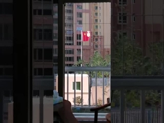 316 Edelstahl unsichtbarer Gitterbalkon für Einbruchmelder