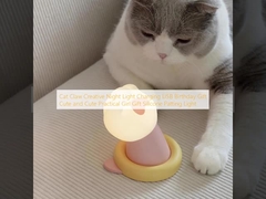 Cat Claw Kreatives Nachtlicht USB-Ladung Geburtstagsgeschenk Süßes und Süßes Praktisches Mädchengeschenk Silicone Patting-Licht