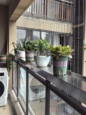 3 mm Walzen Stahldraht Balkongitter mit 100 kg Kapazität Balkon Walzengitter