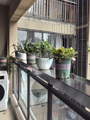Balkon-unsichtbares Gitter Die perfekte Lösung für hohe Sicherheit und Langlebigkeit
