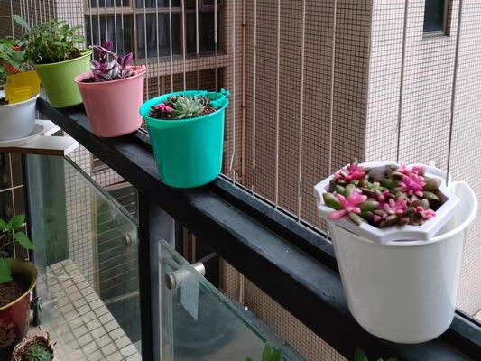 Unsichtbarer Gitter-Blumentopfclip, überkreuzend, 2,5 mm Draht, 2,0 mm Befestigungsclip für industrielle Drahtgitter und Montageprojekte