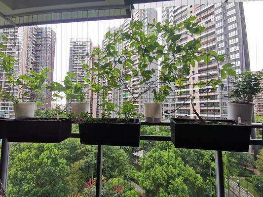 Invisible Grille Flower Pot Clip Crossing 3.0mm Structural Support and Decorative Plant Holders