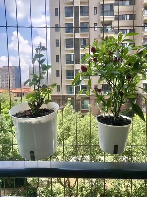 Invisible Grill  Flower Pot Accessories Durable Components for Secure Installation and Long Lasting Performance in Commercial Projects
